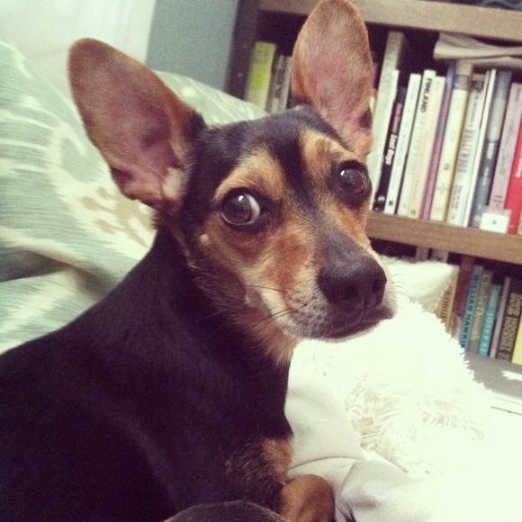 Meet your Posher, Chad - Picture 1 of 1